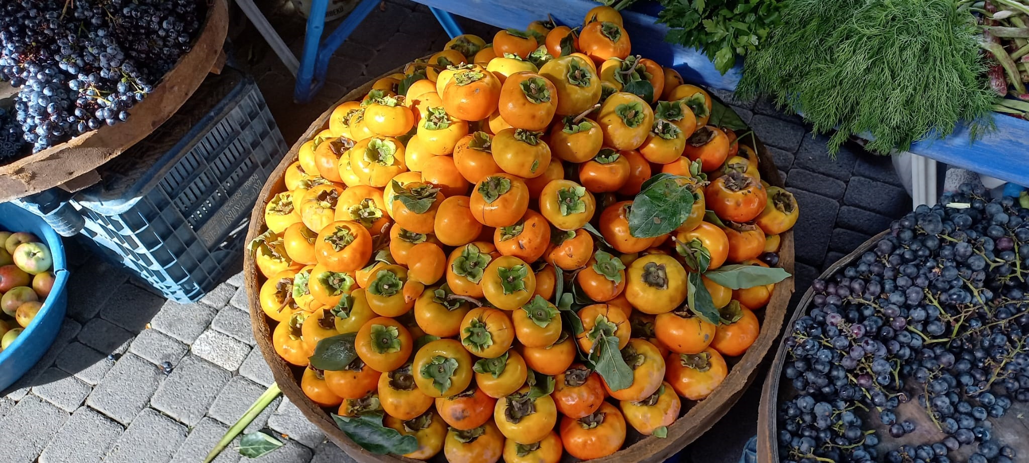 Cennet Hurmaları Tezgâhlarda Yerini Aldı