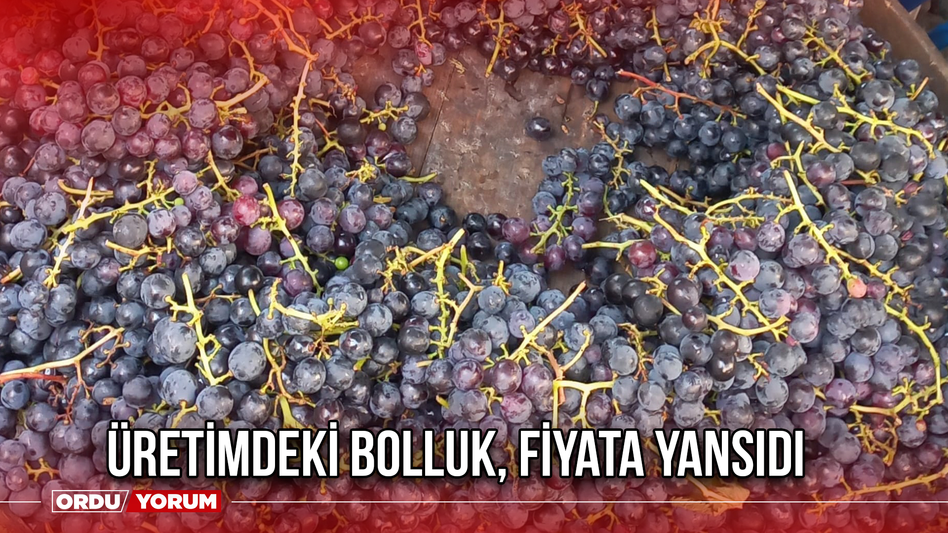 Üretimdeki Bolluk, Fiyata Yansıdı