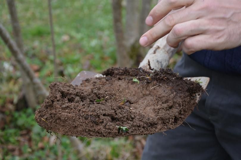 Önce Toprak Analizi, Sonra Gübre!