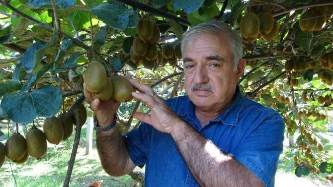 Kiviciler Kilo Başı Destek İstiyor