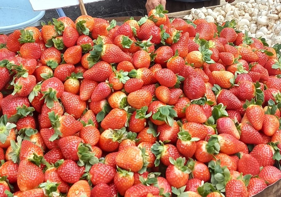 Çilek, Tezgahları Süsledi