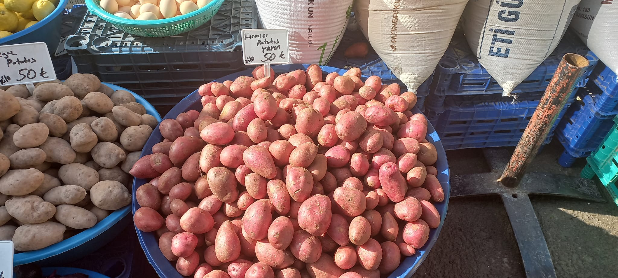 Kırmızı Patates Tezgahta Yerini Aldı