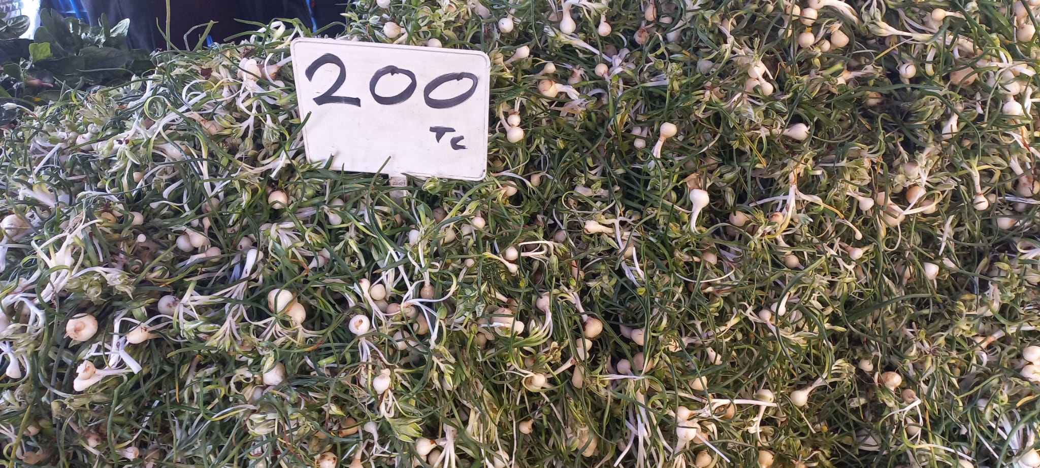 Sakarcanın Kilosu 200 Lira