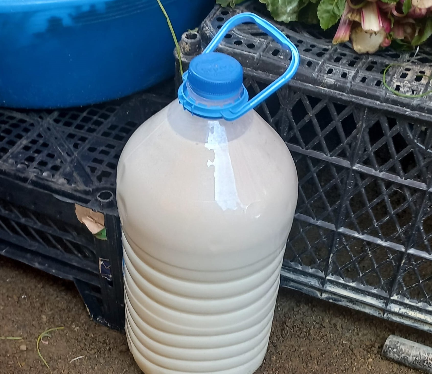 1 Kilo Fındık, 1 Bidon Süt Almıyor