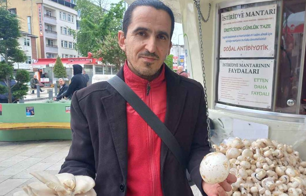 Kültür Mantarı Zamanı