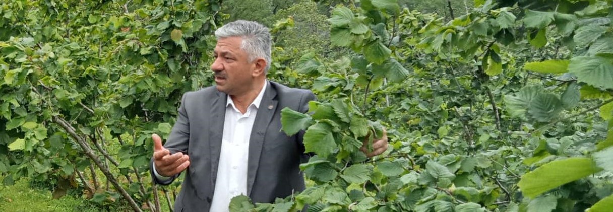 “BU TARİHTE REKOLTE AÇIKLANMAZ”
