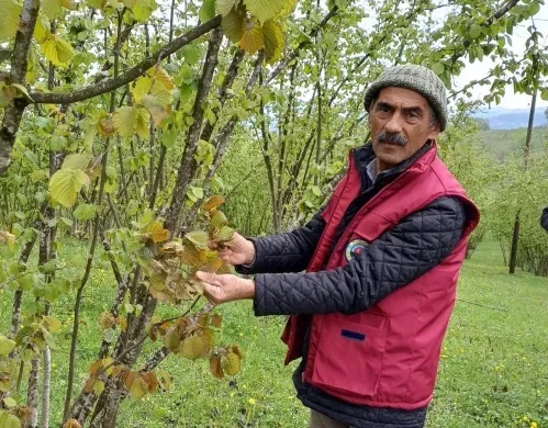 Sarıkahraman’dan Rekolte Tepkisi!