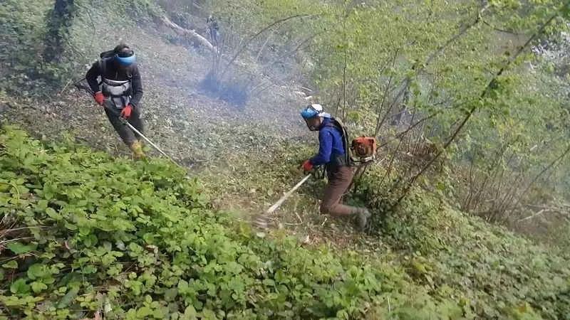 Ordu’da Tırpan Yevmiyesi Rekor Kırdı!