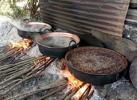 Dutların Pekmez Yolculuğu