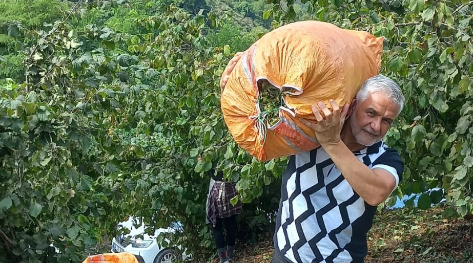 Akça’dan Emanete Fındık Vermeyin Uyarısı!