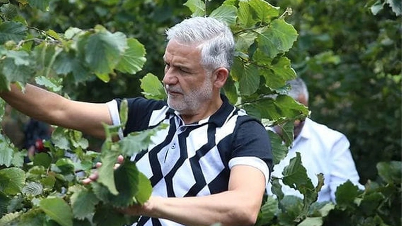 Erken Hasattan Kaçının!