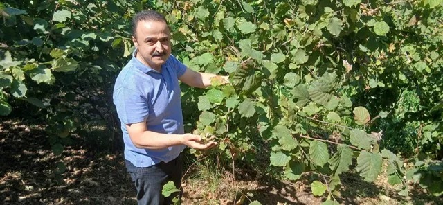 Şanlıtürk’ten Fındık Fiyatı Tepkisi!